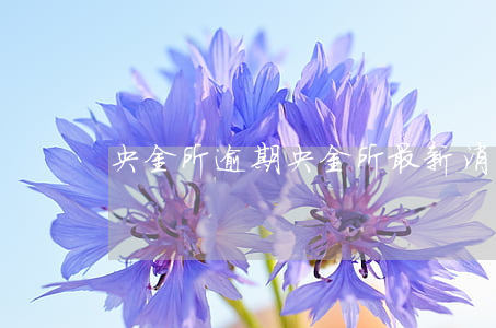 央金所逾期(央金所最新消息)
