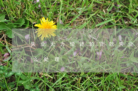 失业无力偿还的贷款 失业无力偿还的贷款怎么处理
