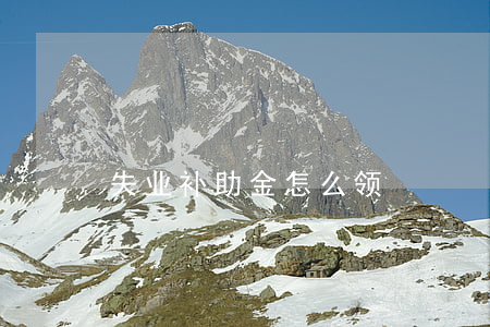 失业补助金怎么领