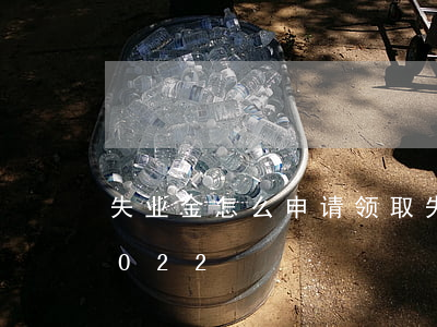 失业金怎么申请领取(失业金怎么申请领取2022)