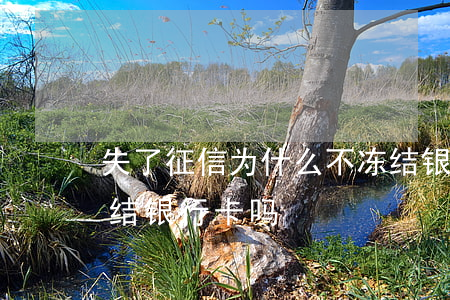失了征信为什么不冻结银行卡(征信不良会冻结银行卡吗)