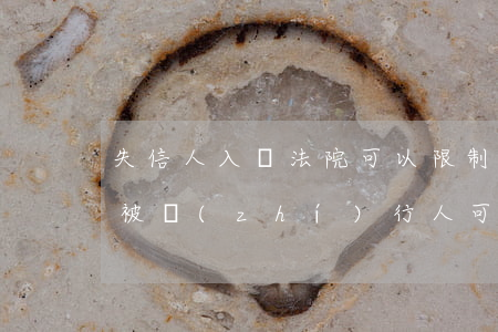 失信人入黨法院可以限制嗎(被法院列入失信被執(zhí)行人可以申請入黨嗎)