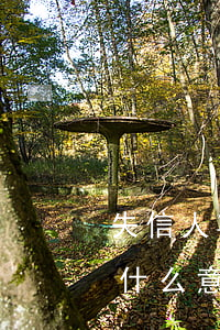 失信人其他規(guī)避執(zhí)行什么意思(對失信被執(zhí)行人出臺了哪些限制措施)