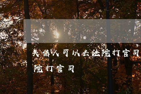 失信人可以去法院打官司嗎(失信人可以去法院打官司嗎)