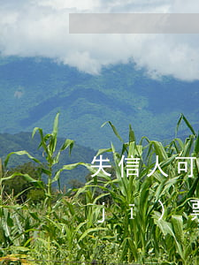 失信人可以去法院申請(qǐng)買機(jī)票嗎(失信人可以去法院申請(qǐng)買機(jī)票嗎)