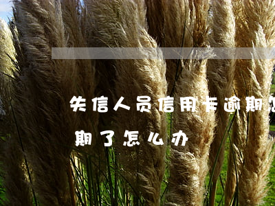 失信人员信用卡逾期怎么办(不小心信用卡逾期了怎么办)