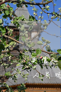失信人员是指不还信用卡吗(欠信用卡算失信人员吗)