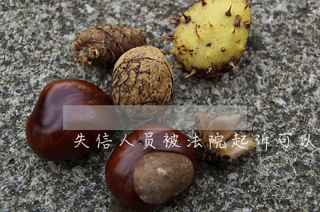失信人员被法院起诉可以离婚吗