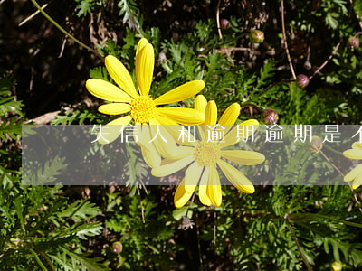失信人和逾期(逾期是不是失信人員)