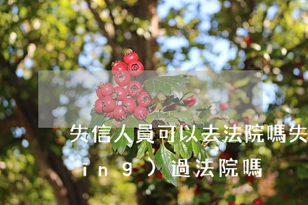 失信人員可以去法院嗎(失信人員必須經(jīng)過法院嗎)