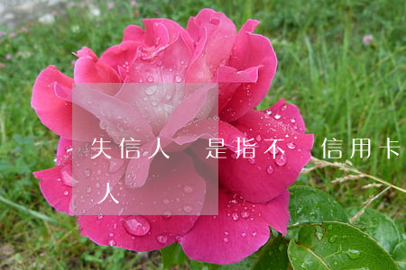 失信人員是指不還信用卡嗎(欠信用卡算失信人員嗎)