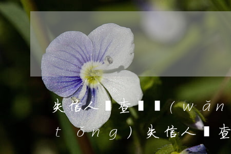 失信人員查詢網(wǎng)上查詢系統(tǒng)(失信人員查詢網(wǎng)上查詢系統(tǒng)下載)