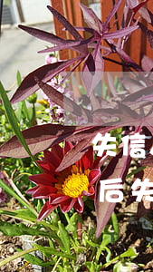 失信人員辦離婚分配財產(chǎn)(離婚后失信人員子女有何限制)