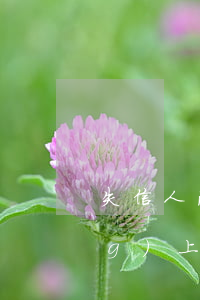 失信人法院利用輿論公布可以嗎(網(wǎng)上公布失信人有什么影響)