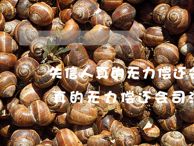 失信人真的无力偿还会司法拘留吗-失信人真的无力偿还会司法拘留吗知乎