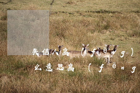 失信人高風(fēng)險(xiǎn)什么意思(高風(fēng)險(xiǎn)信息:失信被執(zhí)行人)