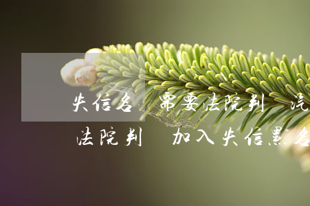 失信名單需要法院判決（汽車(chē)逾期法院判決加入失信黑名單）