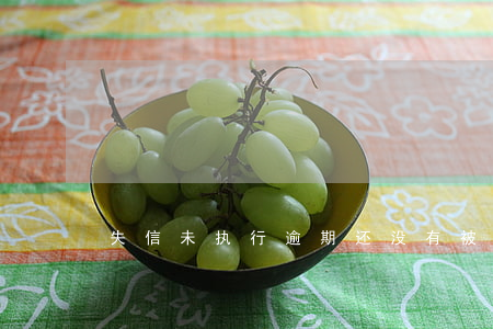 失信未执行（逾期还没有被列为失信执行人）
