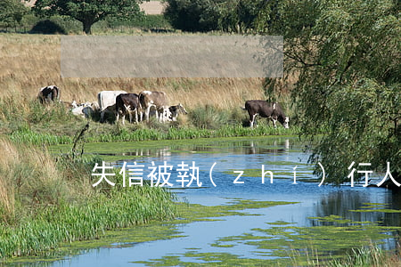 失信被執(zhí)行人名單查詢