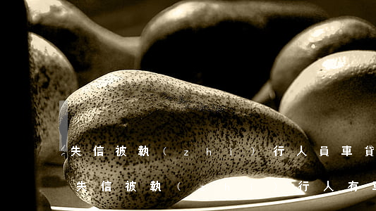 失信被執(zhí)行人員車貸逾期怎么辦(失信被執(zhí)行人有車貸怎么辦)