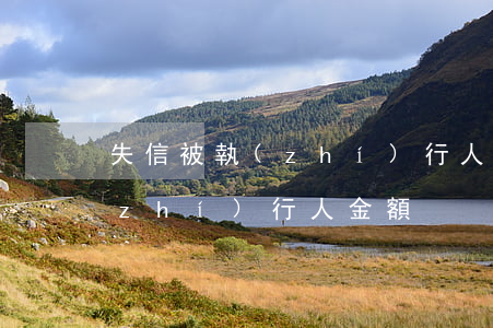 失信被執(zhí)行人多少錢(失信被執(zhí)行人金額)
