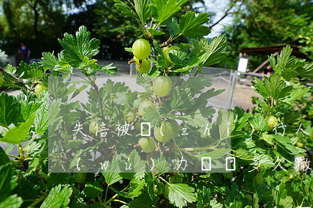 失信被執(zhí)行人實(shí)在無(wú)力償還多久撤銷-失信被執(zhí)行人實(shí)在無(wú)力償還多久撤銷