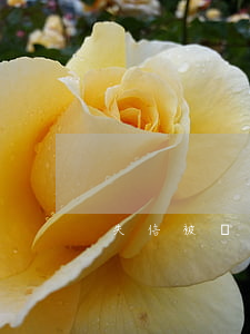 失信被執(zhí)行人撤消后會有記錄嗎