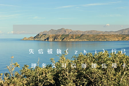 失信被執(zhí)行已經(jīng)處理,多久可以辦理信用卡（信用卡逾期多久會(huì)被失信被執(zhí)行人）