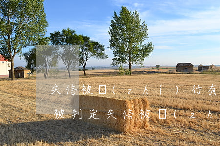 失信被執(zhí)行有期限嗎（逾期多久會被判定失信被執(zhí)行人）