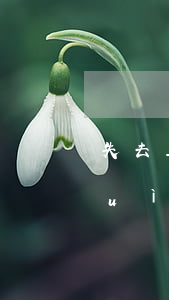 失去工作信用卡逾期了 欠信用卡工作會(huì)丟嗎