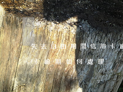 失去自由期間信用卡逾期(失去人身自由信用卡逾期如何處理)