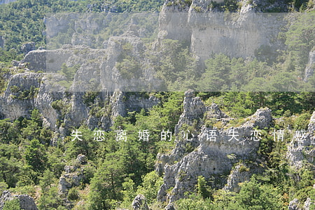 失恋离婚的心语(失恋情感语录短句)