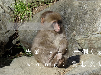 失業(yè)一個(gè)月又欠5萬網(wǎng)貸怎么辦-失業(yè)一個(gè)月又欠5萬網(wǎng)貸怎么辦理