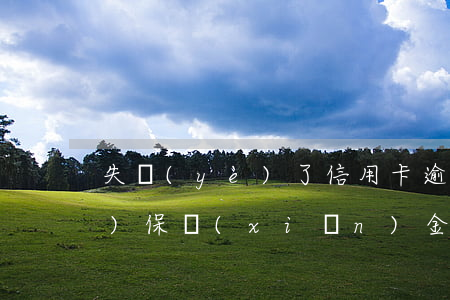 失業(yè)了信用卡逾期怎么(失業(yè)保險(xiǎn)金逾期怎么辦)