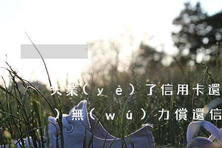 失業(yè)了信用卡還不起-失業(yè)無(wú)力償還信用卡
