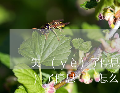 失業(yè)了停息掛賬怎么辦(失業(yè)了停息掛賬怎么辦)