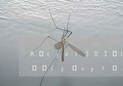失業(yè)了欠了網(wǎng)貸不少錢應(yīng)該怎么辦-失業(yè)了欠了網(wǎng)貸不少錢應(yīng)該怎么辦呢