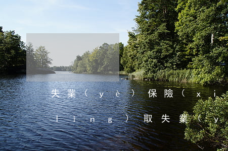 失業(yè)保險(xiǎn)金如何領(lǐng)取(失業(yè)后怎么領(lǐng)取失業(yè)保險(xiǎn)金)