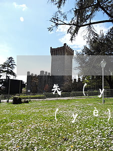 失業(yè)保險金逾期辦理情況說明(失業(yè)保險金逾期辦理情況說明怎么寫)