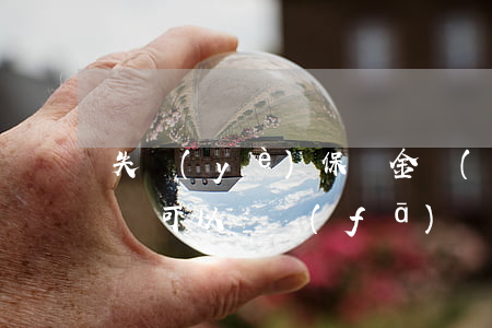 失業(yè)保險金領(lǐng)取逾期還可以補發(fā)嗎-失業(yè)保險金領(lǐng)取逾期還可以補發(fā)嗎怎么辦