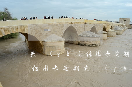 失業(yè)信用卡逾期一個(gè)月(欠信用卡逾期失業(yè)可以辦失業(yè)金嗎)