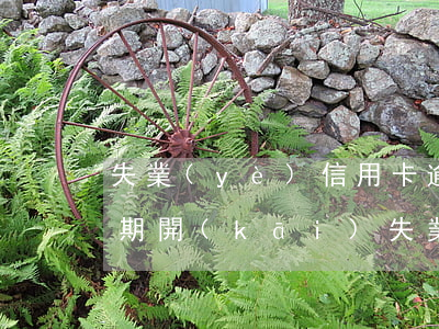 失業(yè)信用卡逾期怎么處理(信用卡逾期開(kāi)失業(yè)證明怎么開(kāi))