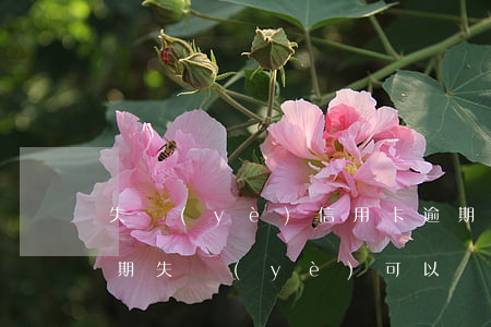 失業(yè)信用卡逾期被起訴(欠信用卡逾期失業(yè)可以辦失業(yè)金嗎)