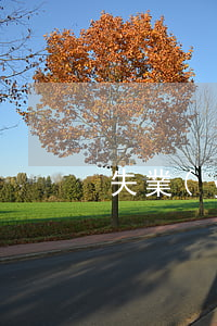 失業(yè)加網(wǎng)貸逾期