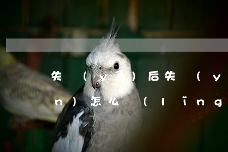 失業(yè)后失業(yè)保險(xiǎn)怎么領(lǐng)取（申領(lǐng)失業(yè)保險(xiǎn)金應(yīng)具備的條件有哪些）