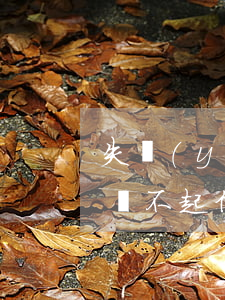 失業(yè)無力償還信用卡（失業(yè)還不起信用卡）