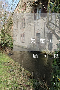 失業(yè)無力償還債務,執(zhí)行局可以強制拍賣房子嗎（失業(yè)后無力償還）