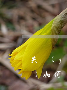失業(yè)申請暫緩還信用卡（失業(yè)如何協(xié)商信用卡）