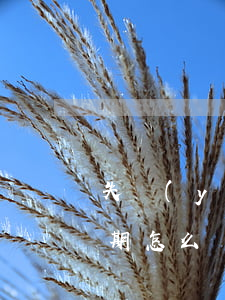 失業(yè)網(wǎng)貸與信用卡逾期怎么辦-因疫情失業(yè)信用卡逾期還不起了怎么處理