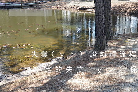 失業(yè)證辦理流程是怎么規(guī)定的（失業(yè)保險金申請資格）